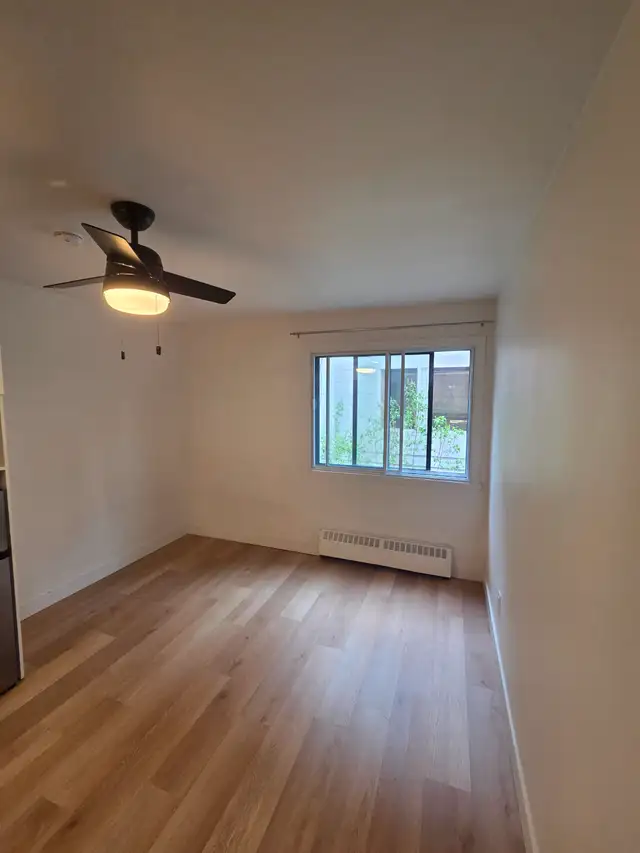Newly Renovated Studio - Saint-Laurent - Photo 4