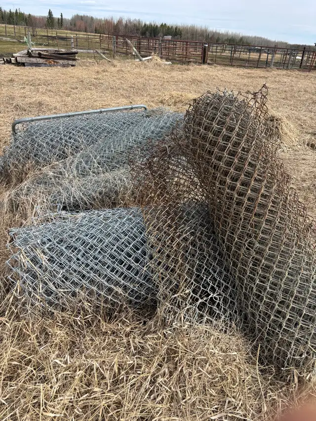 chain link fence