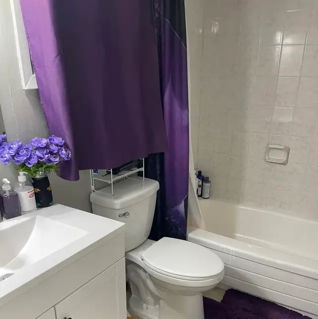 Beautiful Spacious Master Bedroom for Rent - Photo 4