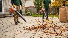 Professional Yard Cleanup & Lawn Care Solutions
