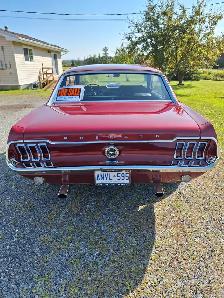 1967 Mustang 289 Auto - Photo 4