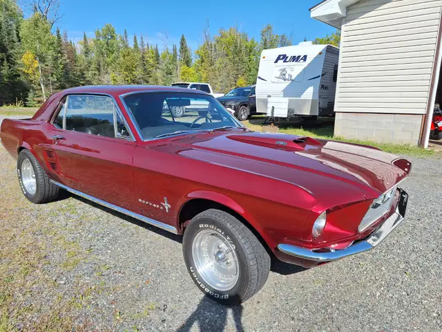 1967 Mustang 289 Auto - Photo 5