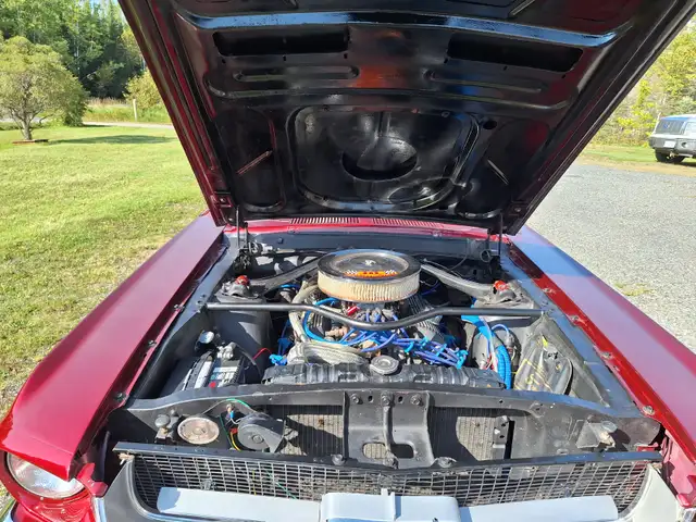 1967 Mustang 289 Auto - Photo 6