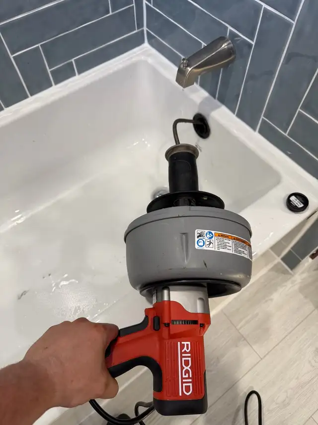 Snake bathtub shower kitchen