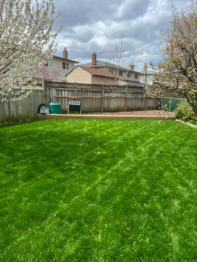 Lawn Care, Mowing and Trimming Services