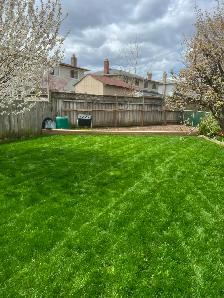 Lawn Care, Mowing and Trimming Services