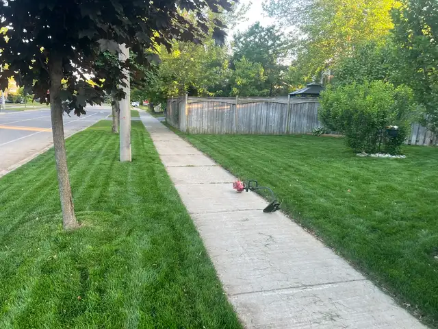 Lawn Care, Mowing and Trimming Services - Photo 2