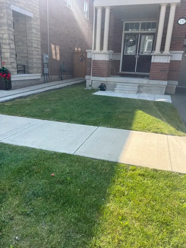 Lawn Care, Mowing and Trimming Services - Photo 3
