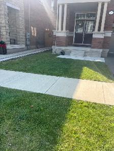 Lawn Care, Mowing and Trimming Services - Photo 3
