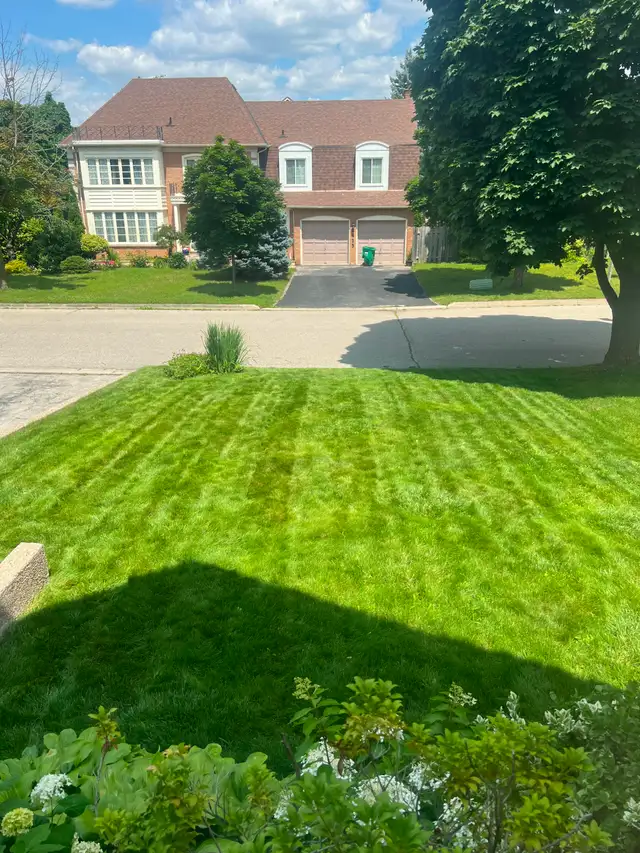 Lawn Care, Mowing and Trimming Services - Photo 4