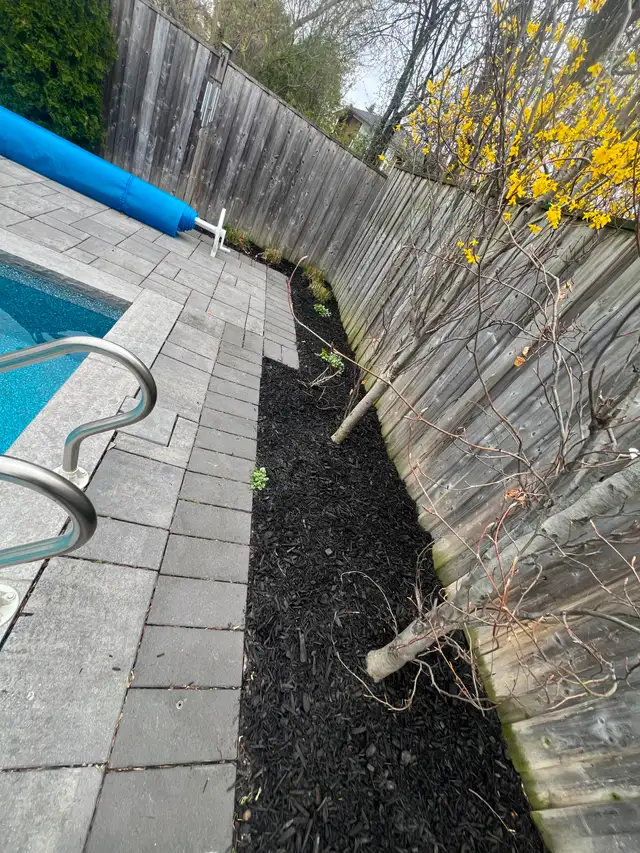 Lawn Care, Mowing and Trimming Services - Photo 5