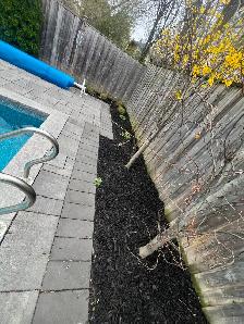 Lawn Care, Mowing and Trimming Services - Photo 5