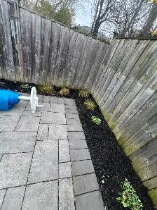 Lawn Care, Mowing and Trimming Services - Photo 6