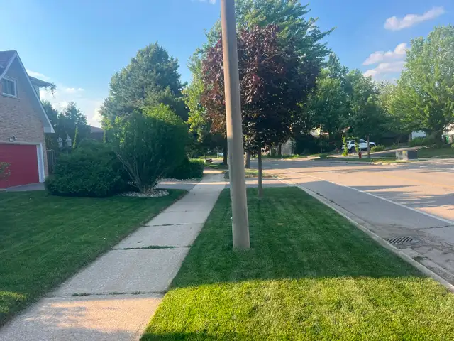 Lawn Care, Mowing and Trimming Services - Photo 7