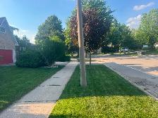 Lawn Care, Mowing and Trimming Services - Photo 7