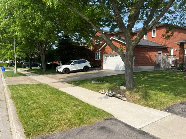 Lawn Care, Mowing and Trimming Services - Photo 8