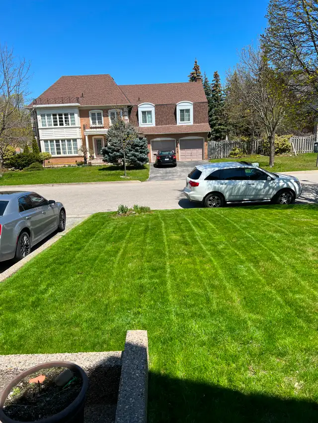 Lawn Care, Mowing and Trimming Services - Photo 10