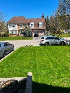 Lawn Care, Mowing and Trimming Services - Photo 10