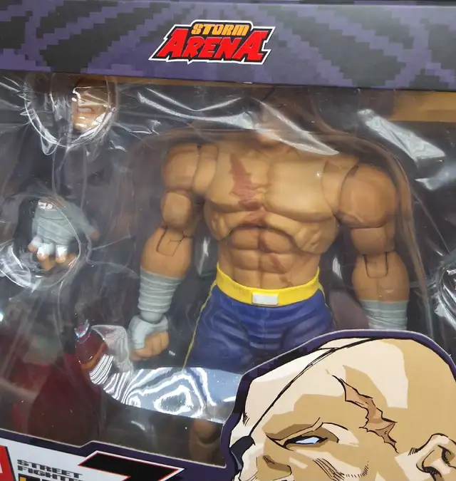 Sagat Street Fighter Alpha 3 Storm Arena Capcom Figure - Photo 5