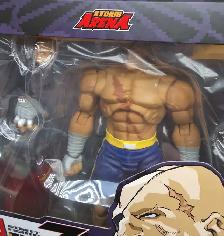 Sagat Street Fighter Alpha 3 Storm Arena Capcom Figure - Photo 5