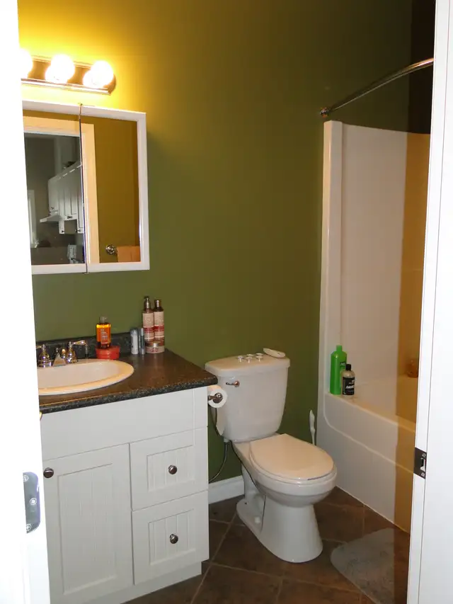 Fully Furnished Suite - Photo 6