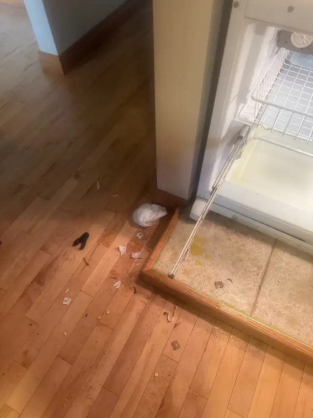 House cleaning - Photo 4