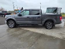 2017 Ford F-150 XLT 5.0L V8 4x4 (TRADES WELCOME) - Photo 5