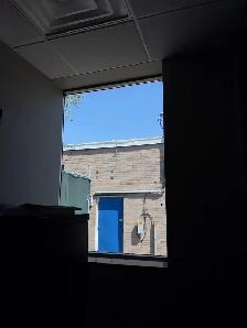 Window Cleaning - Photo 6