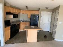 2 Bed 2Bath 2Parking Apartment - Photo 7