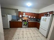 Room for Rent in North York - Photo 5