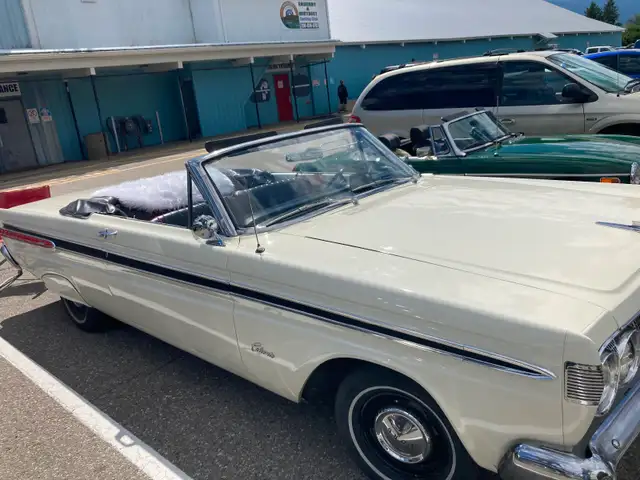 1964 caliante - Photo 10
