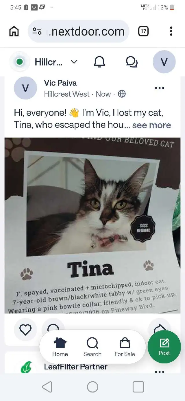 Lost Cat. $300 REWARD