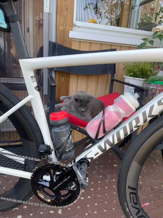 vélo d route Specialized Tarmac S-Works 56 cm 12 V Dura ace DI2 - Photo 3