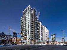 Renovated Condo Available Immediately!