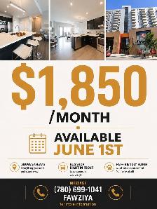 $1,850 | Modern Unit Above Safeway | Pet-Friendly | June 1