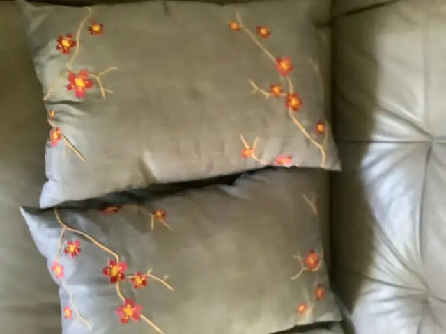 toss cushions - Photo 2