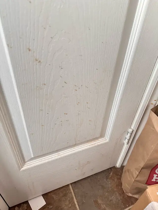 Cleaner Available - Photo 6