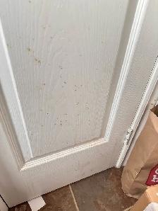 Cleaner Available - Photo 6