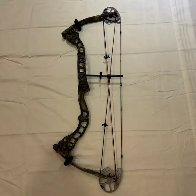Compound bows - Photo 4