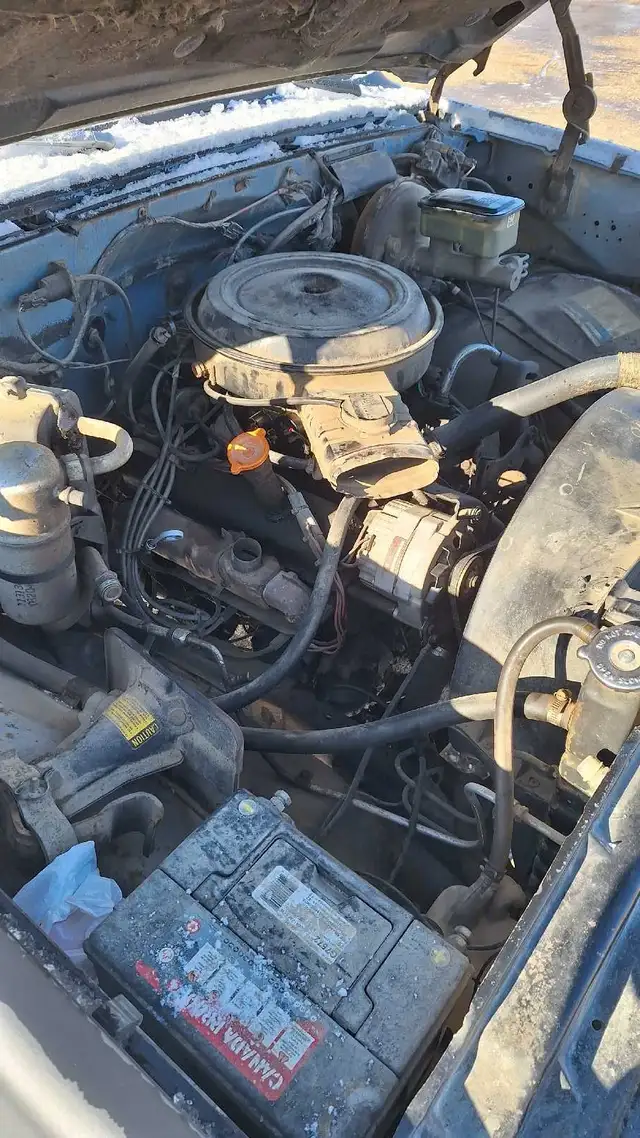 1984 Chevy $2050 - Photo 9