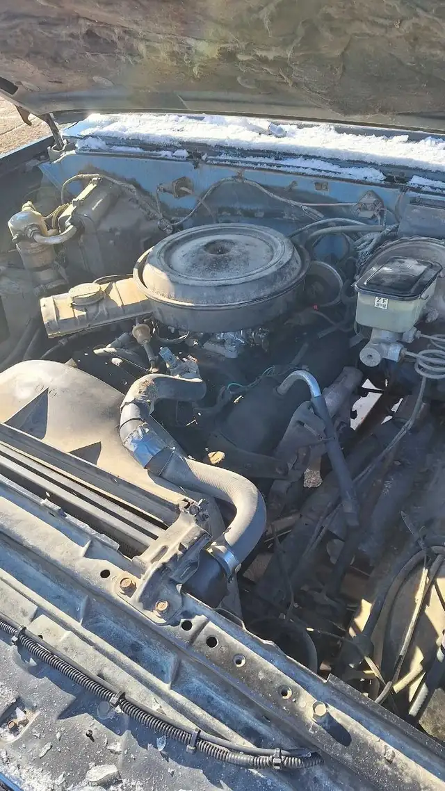 1984 Chevy $2050 - Photo 10