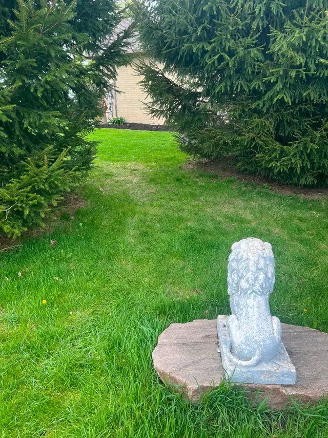 Landscaping grass cut . Sod. Mulch . Powerwash - Photo 5