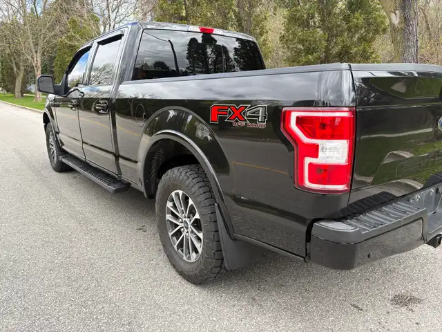 2019 Ford F-150 XLT - Photo 4