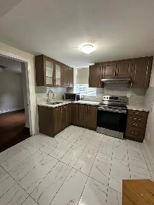 One Bedroom Basement Available Rent Brampton