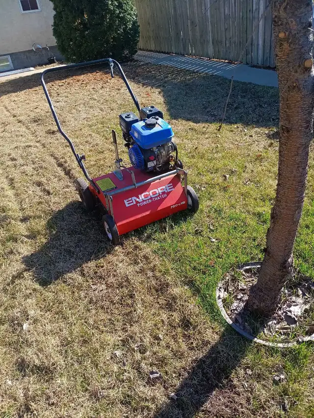 Power Rake for sale - Photo 2