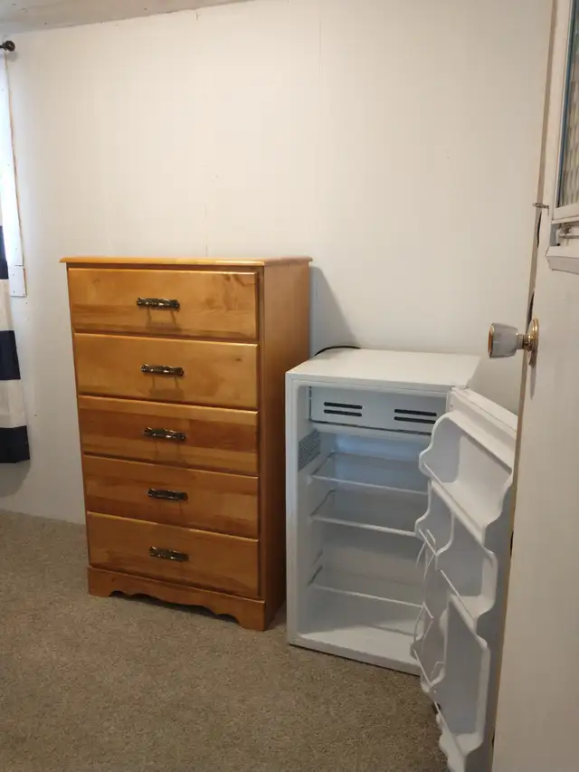 Room to Rent for NON-SMOKING Female over 40 - Photo 4
