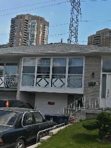 1 bedroom apartment - Don Mills and Finch