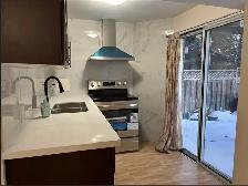 Walkout basement 2Bed 1Den for rent in Richmond Hill