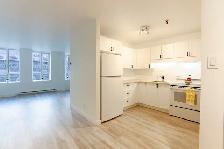 quartier Saint-Roch, Quebec, à louer, 2.5,studio, appartement