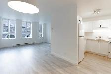 quartier Saint-Roch, Quebec, à louer, 2.5,studio, appartement - Photo 2